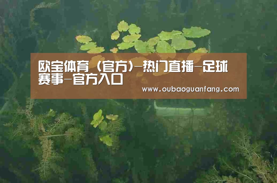 案例展示三