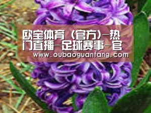 产品名称八