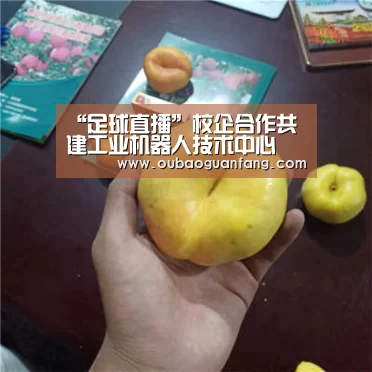 “足球直播”校企合作共建工业机器人技术中心(图1) 足球直播