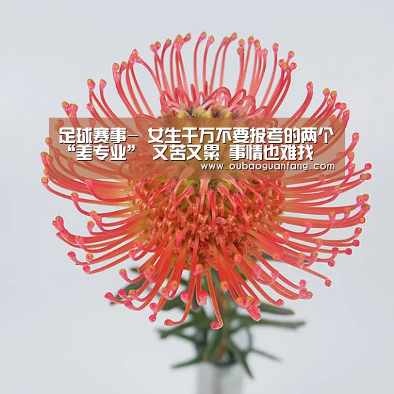 足球直播