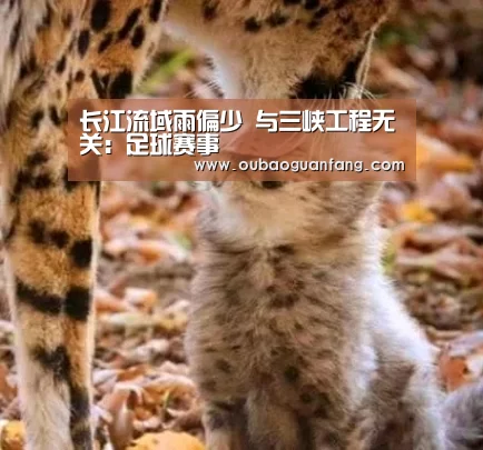 长江流域雨偏少 与三峡工程无关:足球赛事(图1) 欧宝体育(官方)-热门直播-足球赛事-官方入口官网