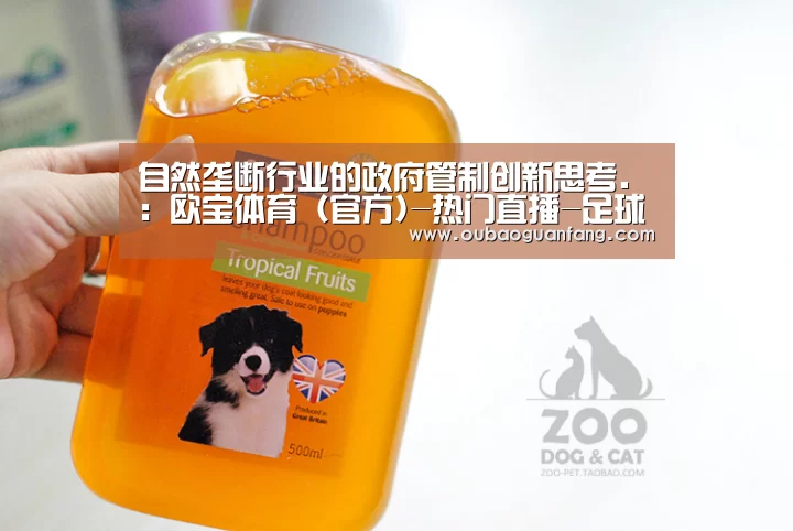 自然垄断行业的政府管制创新思考.:欧宝体育(官方)-热门直播-足球赛事-官方入口官网(图3) 欧宝体育(官方)-热门直播-足球赛事-官方入口