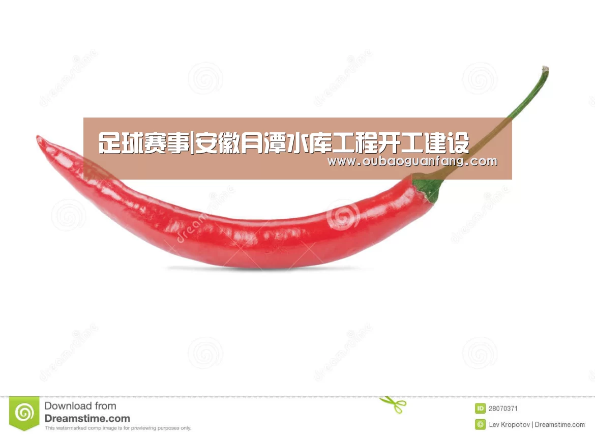 足球赛事|安徽月潭水库工程开工建设(图3) 足球赛事