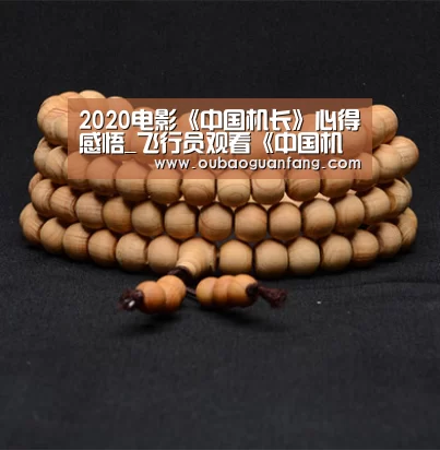 2020电影《中国机长》心得感悟_飞行员观看《中国机长》观后感13篇_足球直播(图1) 足球直播