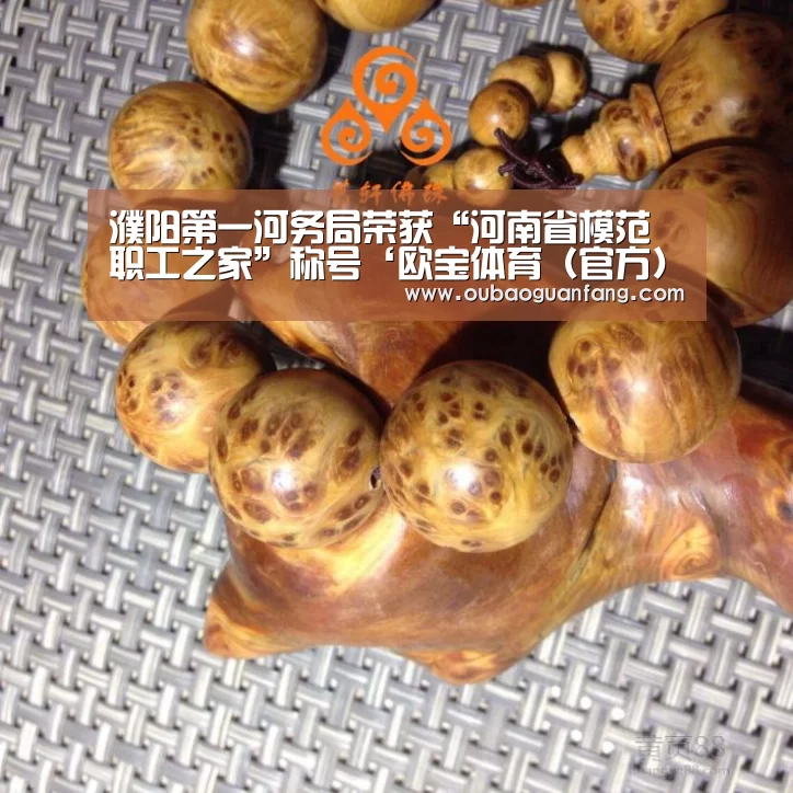 濮阳第一河务局荣获“河南省模范职工之家”称号‘欧宝体育(官方)-热门直播-足球赛事-官方入口官网’(图3) 欧宝体育(官方)-热门直播-足球赛事-官方入口官网