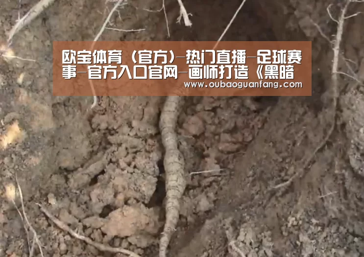 欧宝体育(官方)-热门直播-足球赛事-官方入口官网-画师打造《黑暗之魂》动画版 不受苦体验传火之旅(图3) 足球赛事