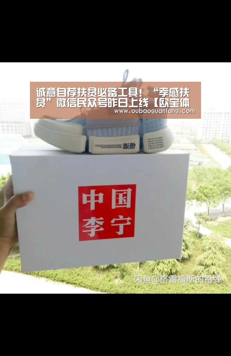 诚意自荐扶贫必备工具!“孝感扶贫”微信民众号昨日上线【欧宝体育(官方)-热门直播-足球赛事-官方入口官网】(图1) 足球赛事