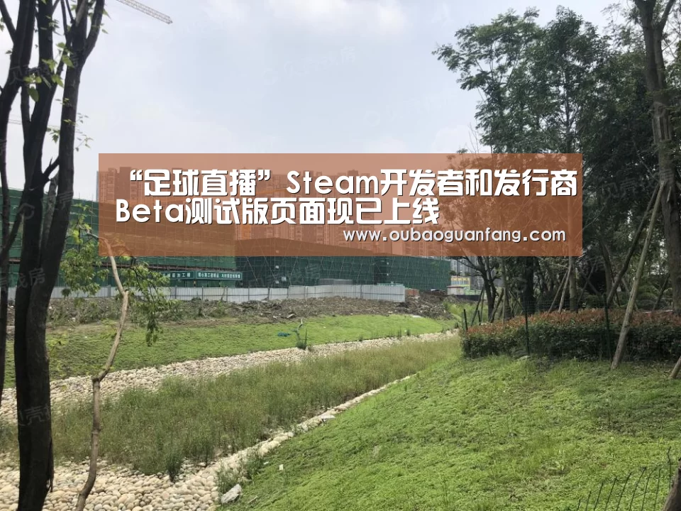 “足球直播”Steam开发者和发行商Beta测试版页面现已上线(图3) 足球直播